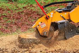 Best Emergency Tree Removal  in Bass Lake, IN